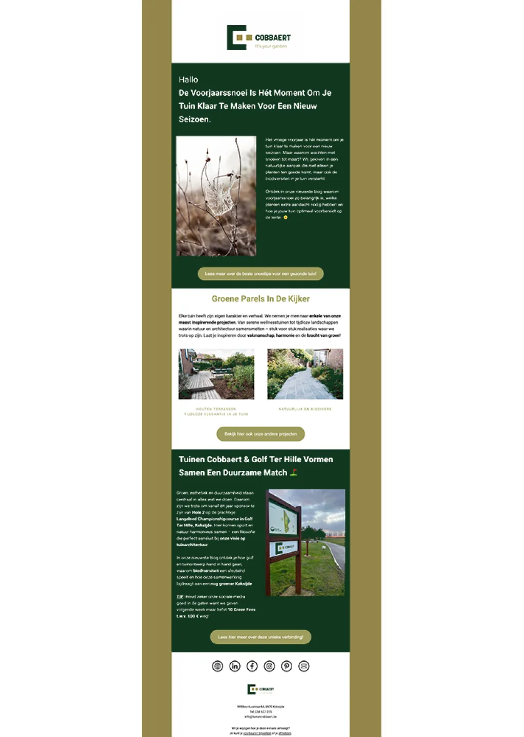 Voorbeeld van de nieuwsbrief van Tuinen Cobbaert.