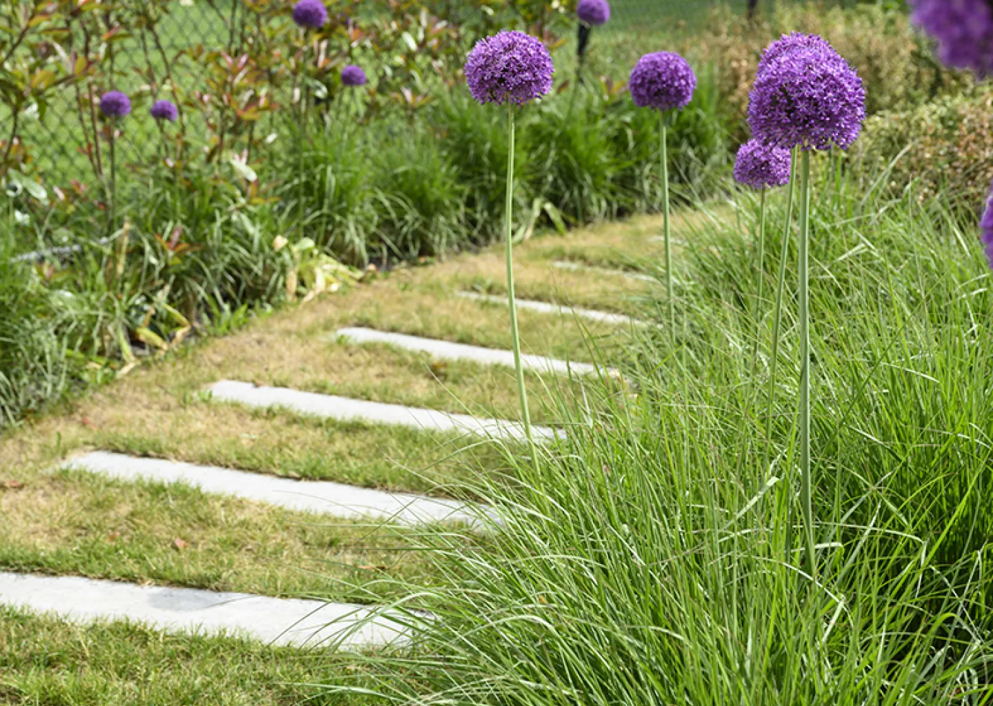 Gebogen tuinpad in stapstenen