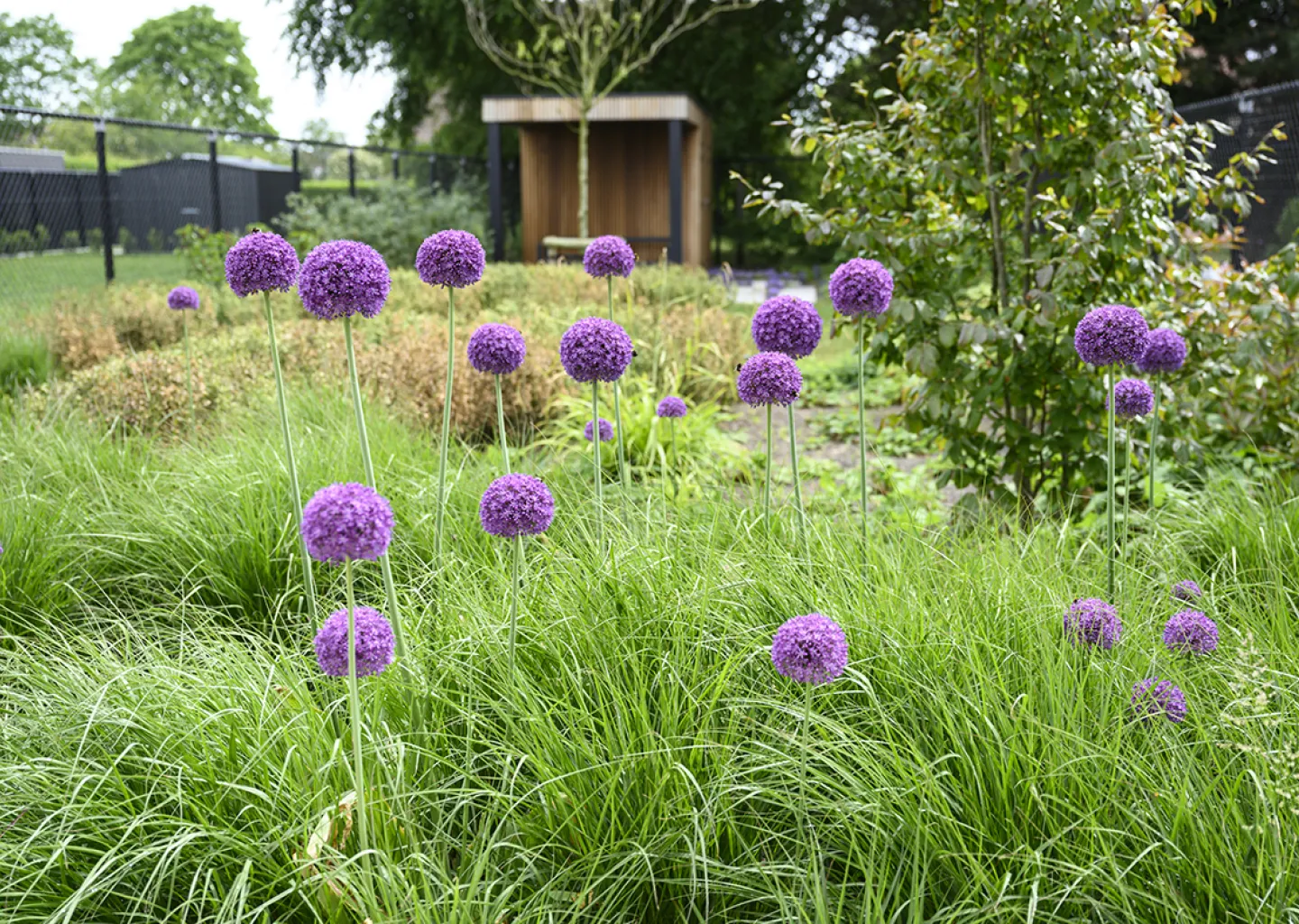Achteraan de tuin plaatsten we een functionele, maar tegelijk esthetisch sterke tuinberging