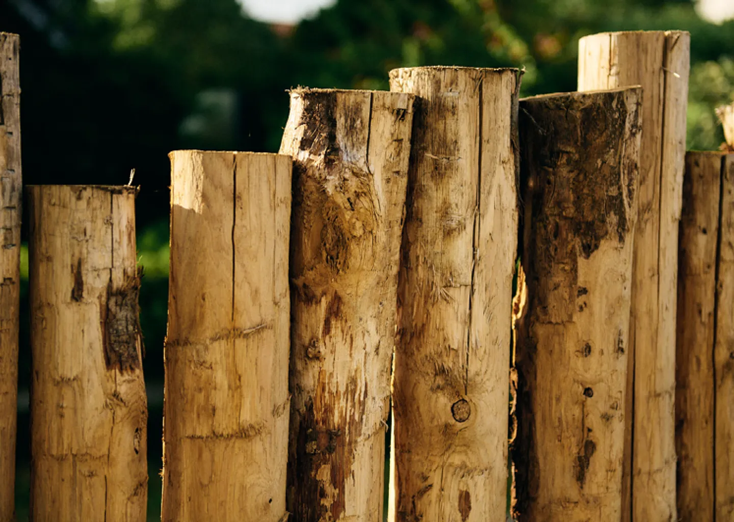 Tuinen Cobbaert gebruikt kastanjehouten palen voor een natuurlijke tuinafsluiting