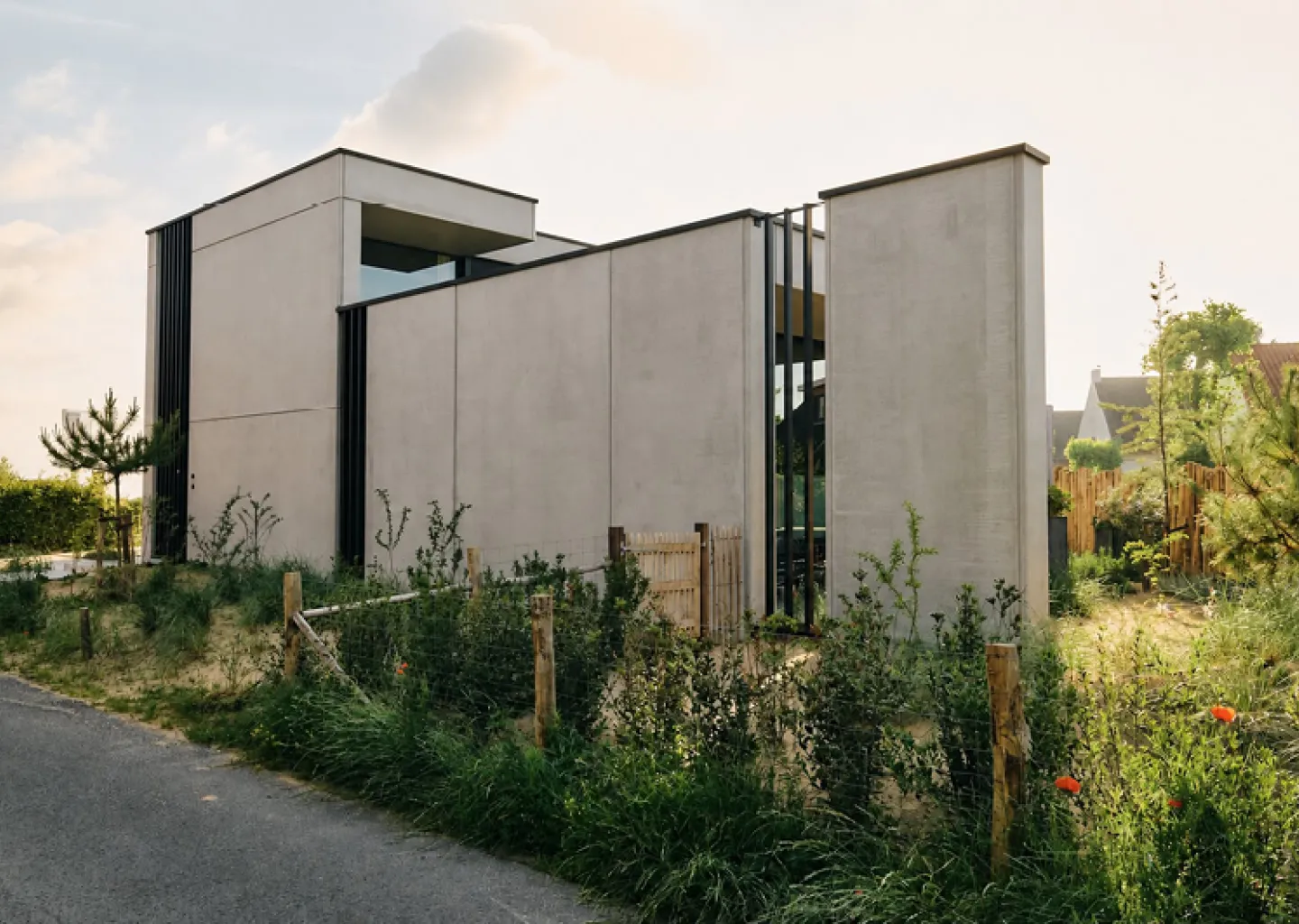 Tuinen Cobbaert realiseert een moderne duintuin met siergrassen en natuurlijke beplanting